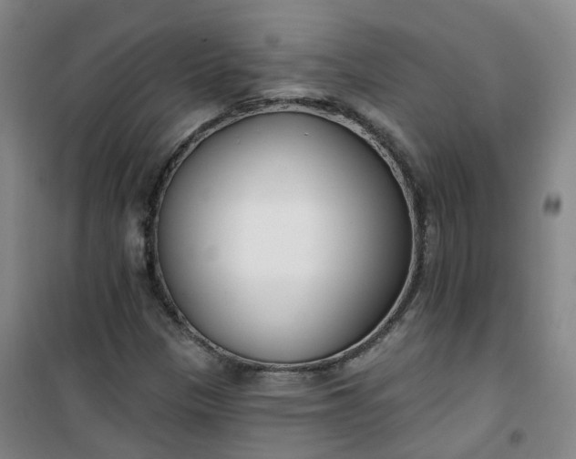 X0000101181305200807111106