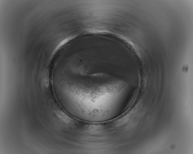 X0000101181306200807111106