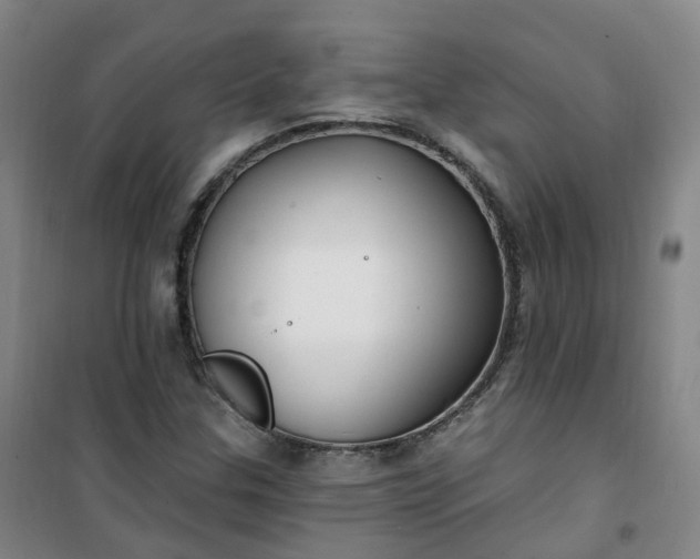 X0000101181307200807111106