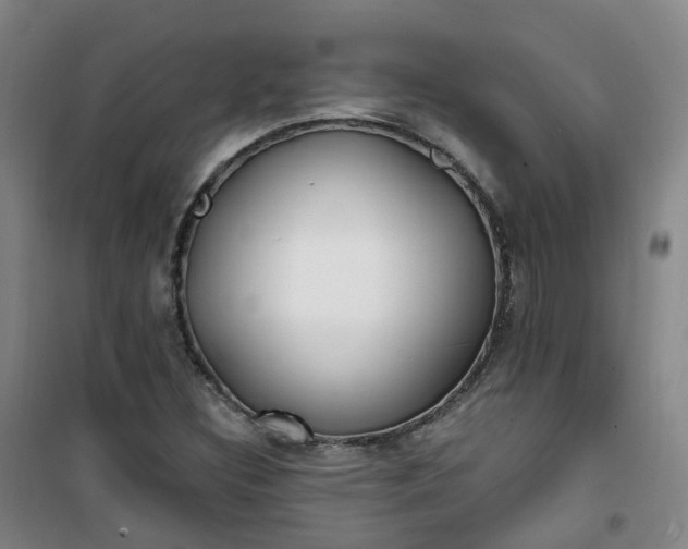 X0000101181308200807111106
