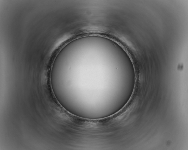 X0000101181309200807111106