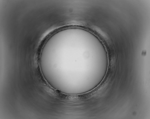 X0000101181310200807111106