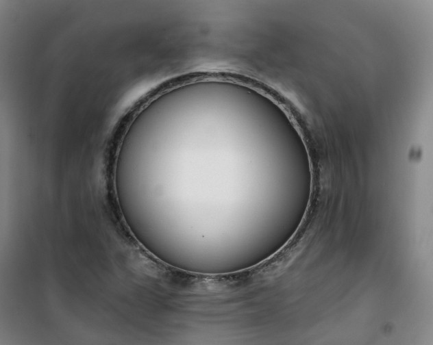X0000101181311200807111106