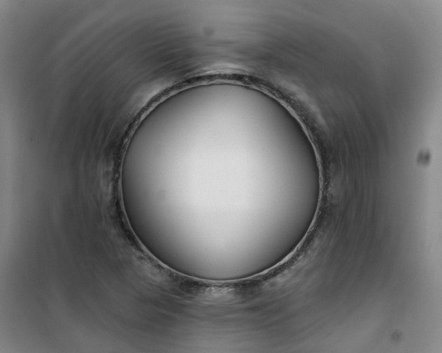 X0000101181313200807111106