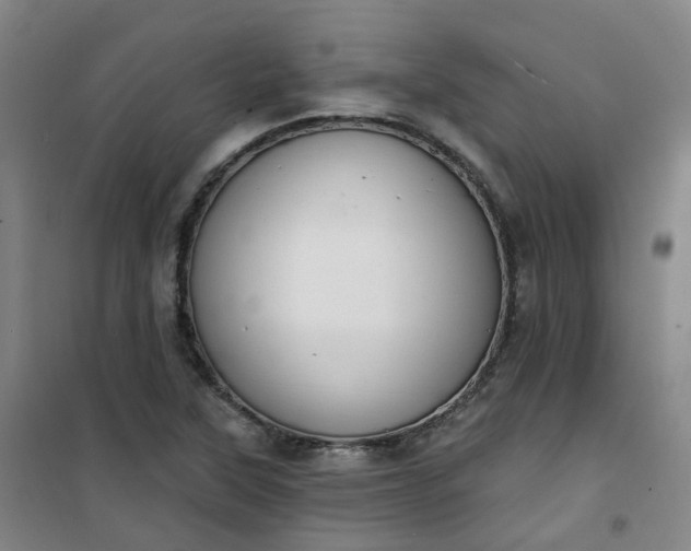 X0000101181315200807111106