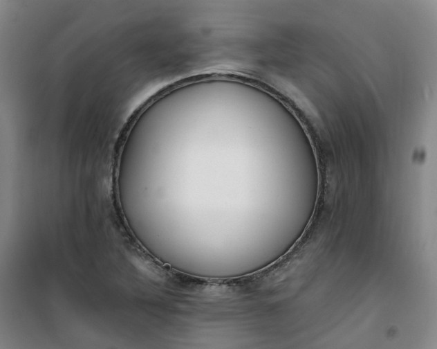X0000101181316200807111106