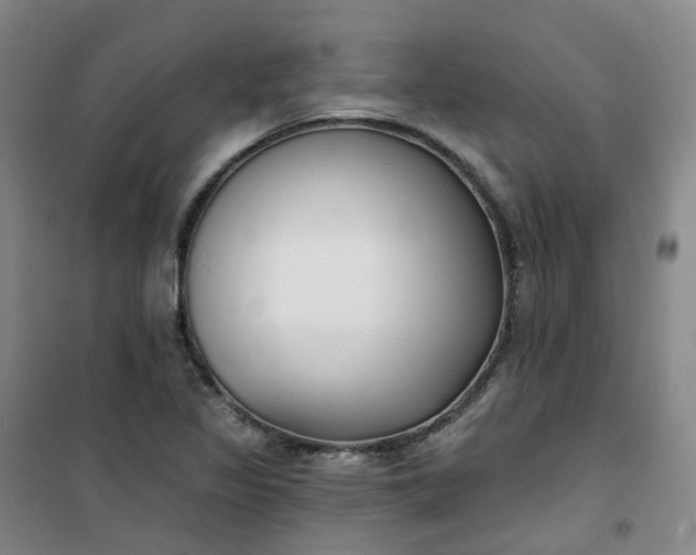 X0000101181317200807111106