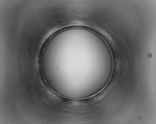X0000101181318200807111106