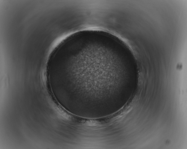 X0000101181319200807111106