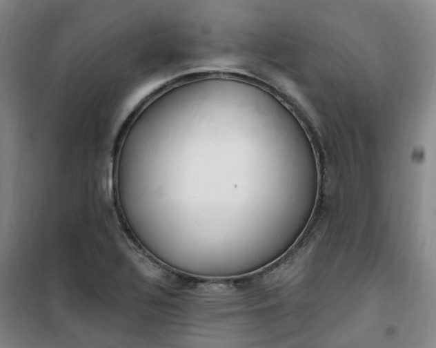 X0000101181320200807111106