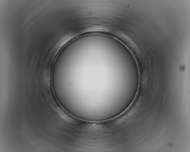 X0000101181321200807111106