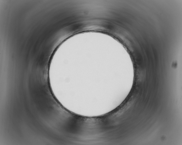 X0000101181322200807111106