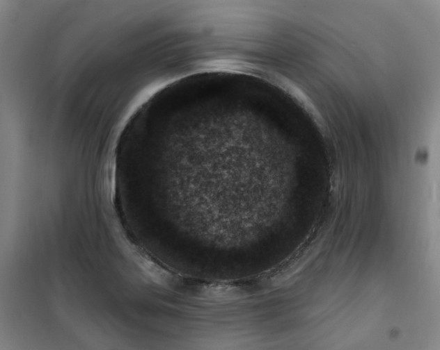 X0000101181323200807111106