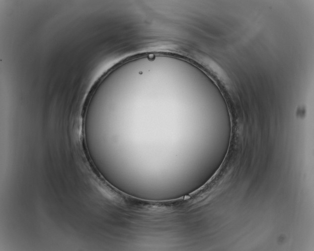 X0000101181324200807111106