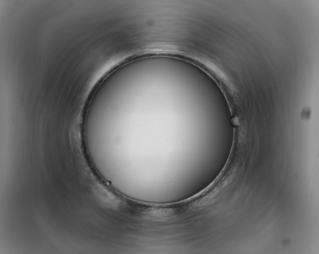X0000101181325200807111106