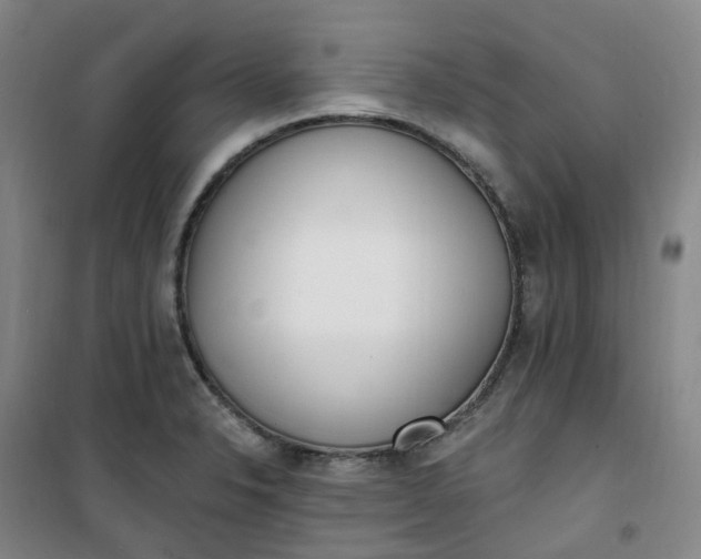 X0000101181326200807111106