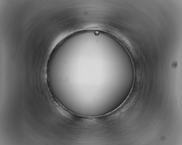 X0000101181328200807111106