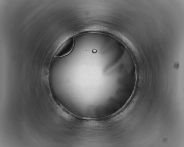 X0000101181329200807111106