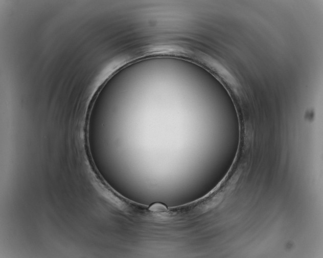X0000101181330200807111106