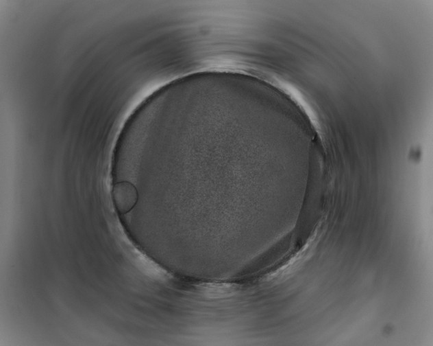 X0000101181331200807111106