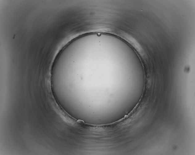 X0000101181332200807111106