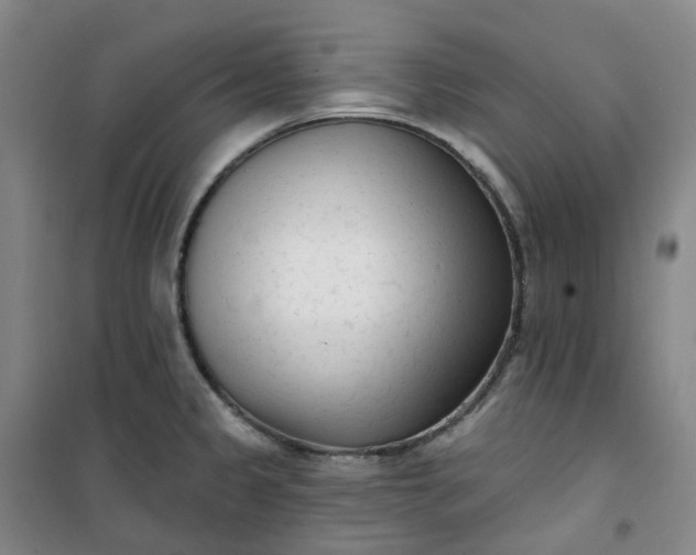 X0000101181333200807111106