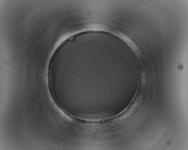 X0000101181334200807111106