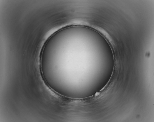 X0000101181335200807111106
