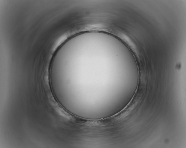 X0000101181336200807111106