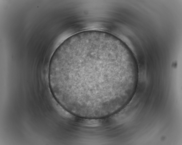 X0000101181338200807111106