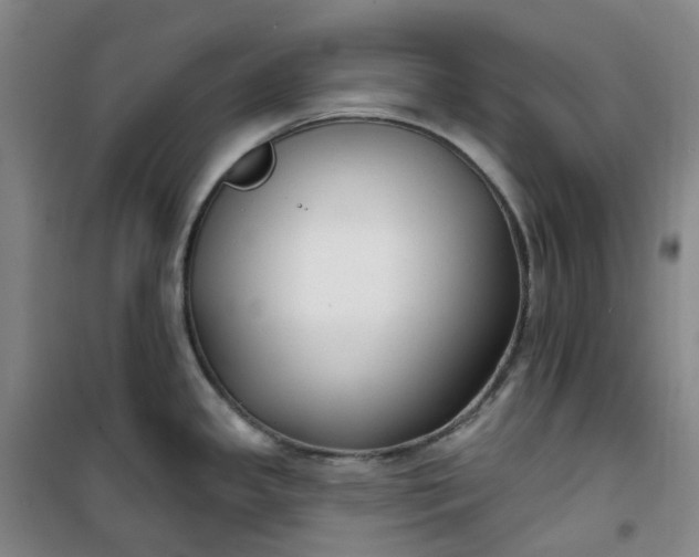 X0000101181341200807111106