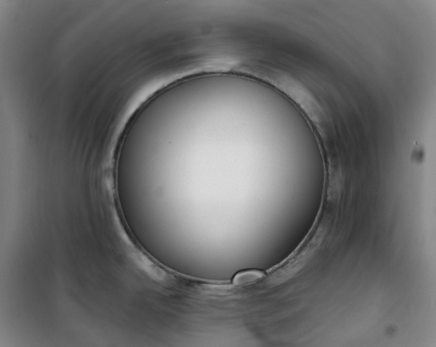 X0000101181342200807111106