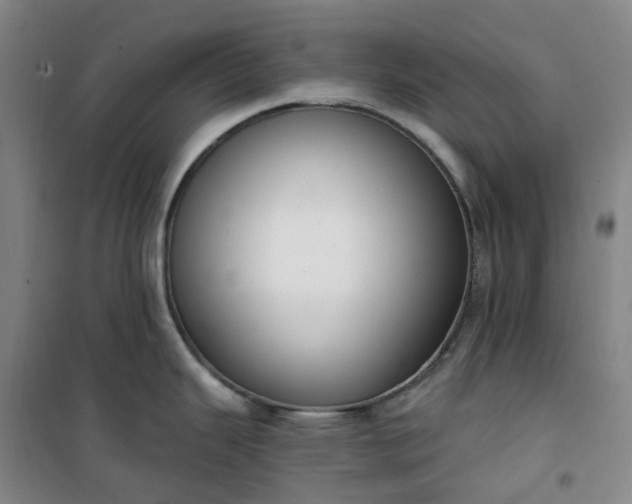 X0000101181343200807111106