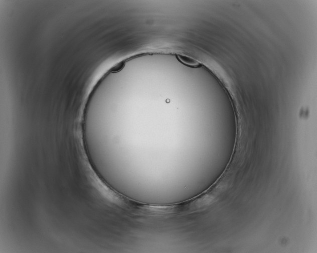 X0000101181344200807111106