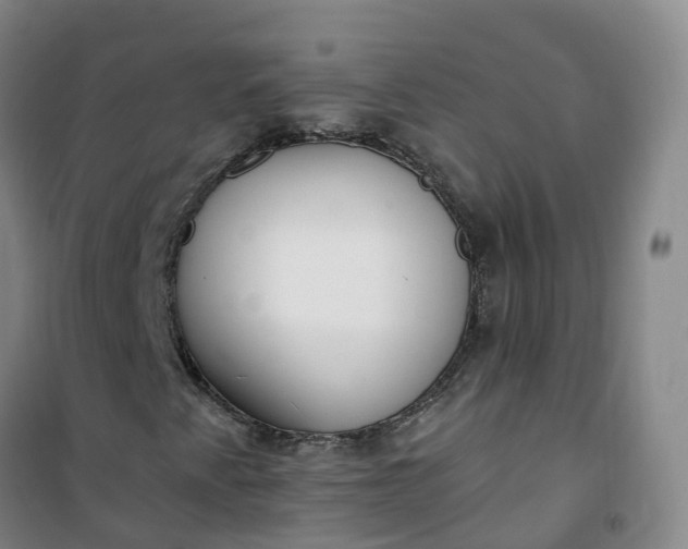 X0000101181345200807111106