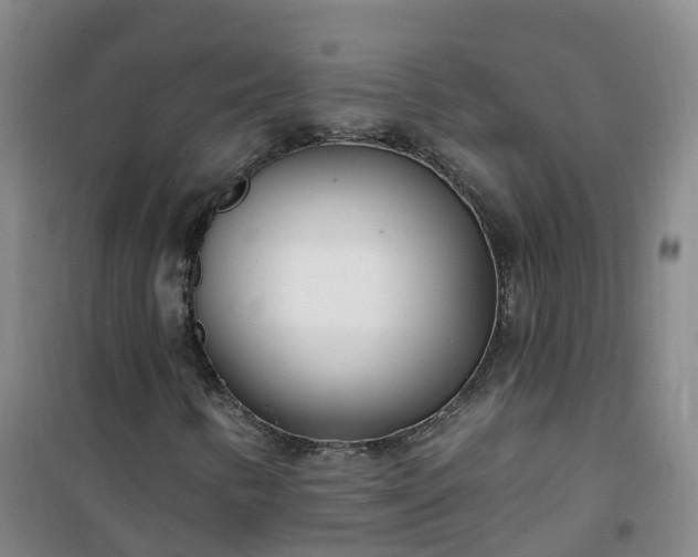 X0000101181346200807111106