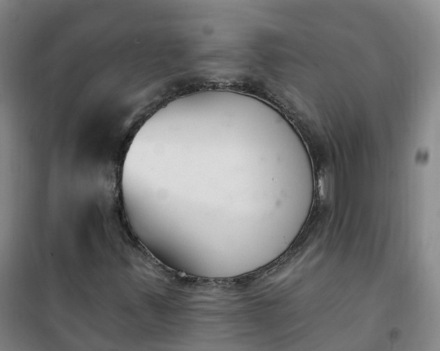 X0000101181347200807111106