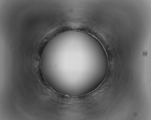 X0000101181349200807111106