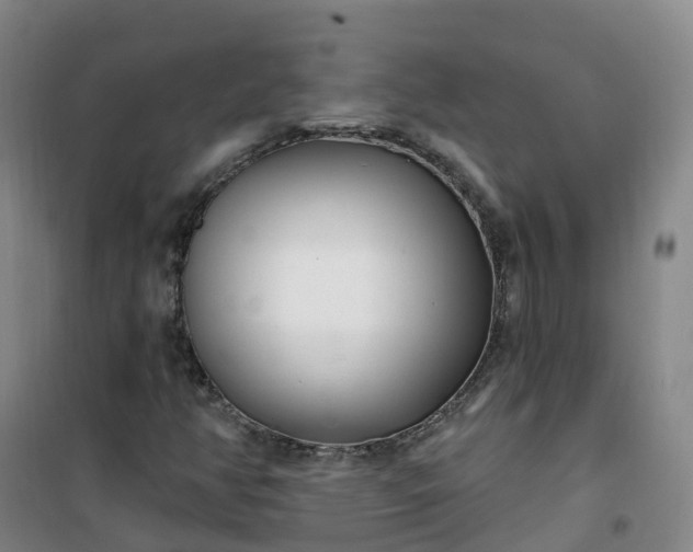X0000101181350200807111106