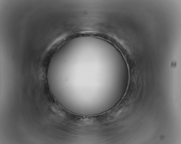 X0000101181351200807111106