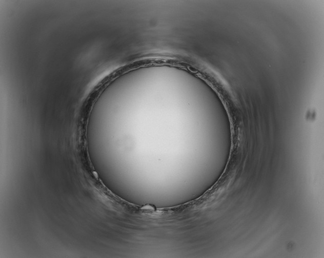 X0000101181352200807111106
