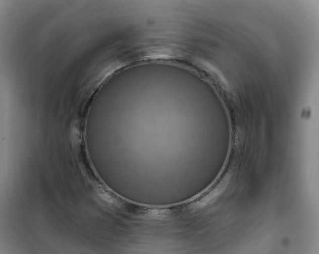 X0000101181353200807111106