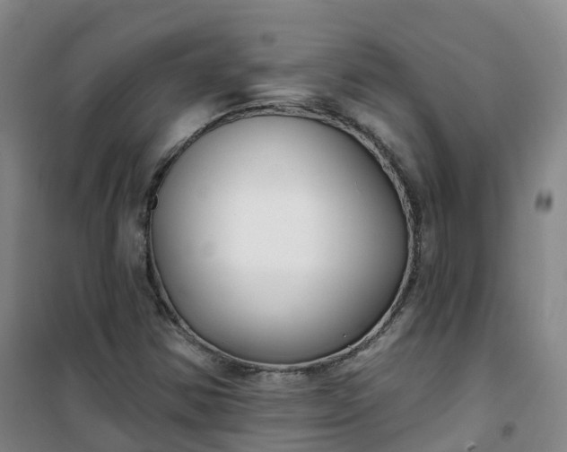 X0000101181354200807111106