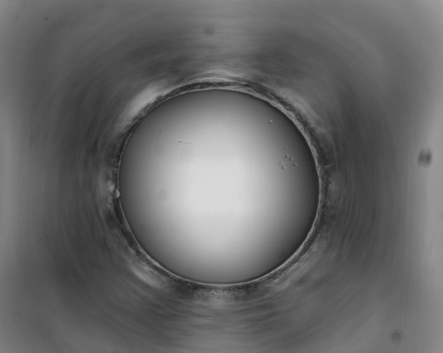 X0000101181355200807111106