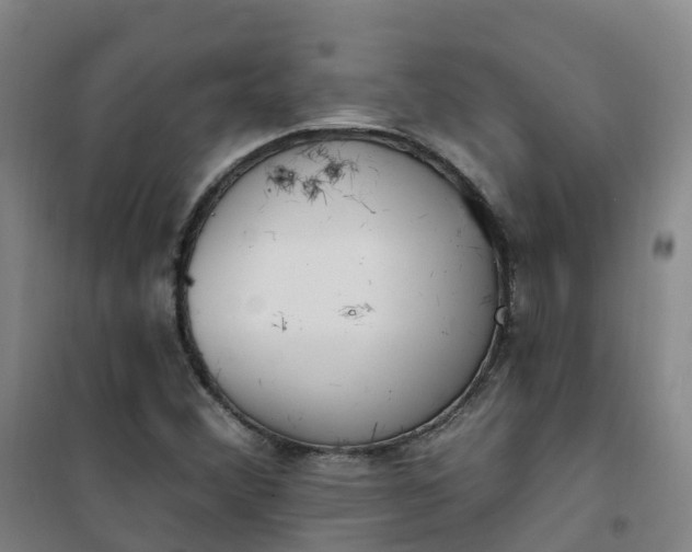 X0000101181356200807111106