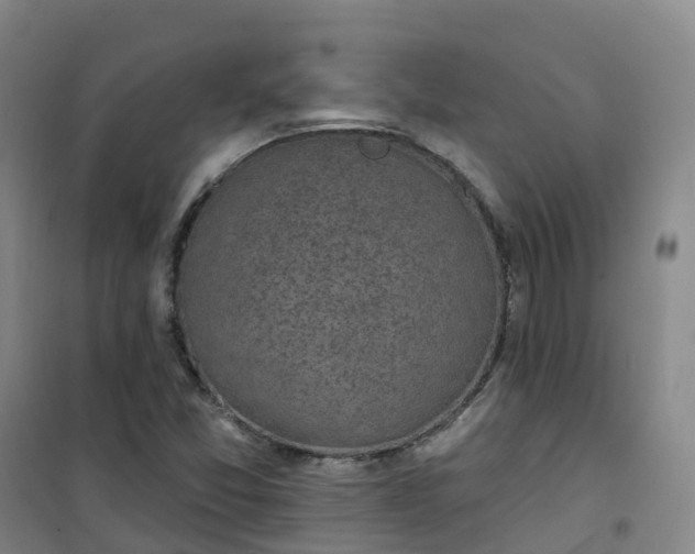 X0000101181357200807111106