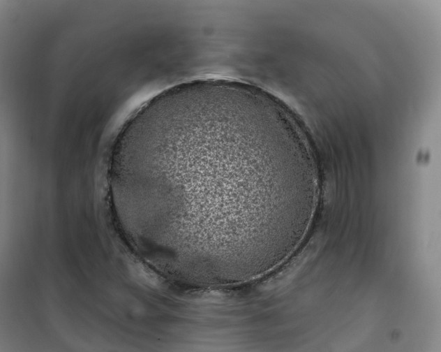 X0000101181359200807111106