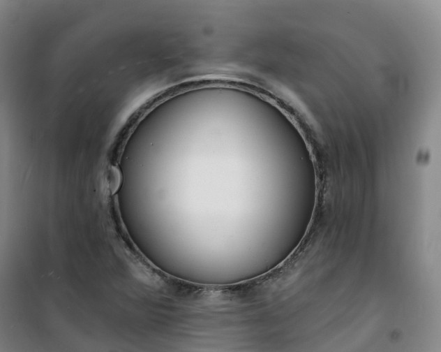 X0000101181360200807111105