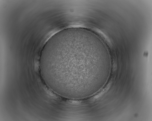 X0000101181361200807111105