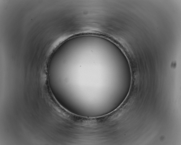 X0000101181363200807111105